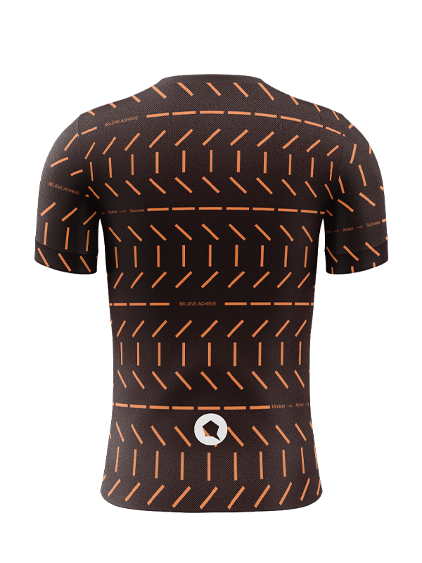 TRAIN 4: BROWN - Image 2